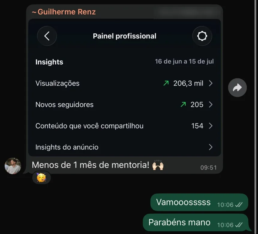 Print do painel profissional do Instagram mostrando 206,3 mil visualizações e 205 novos seguidores.
